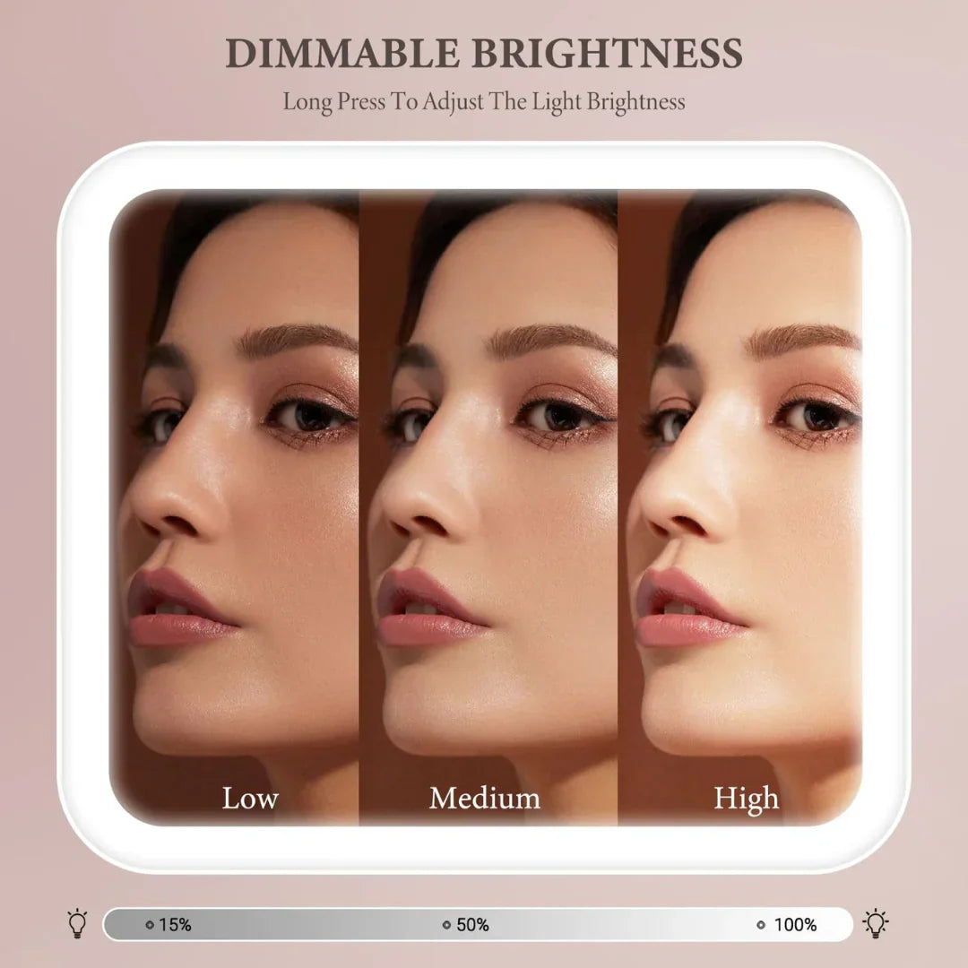 LED Make Up Beauty Bag