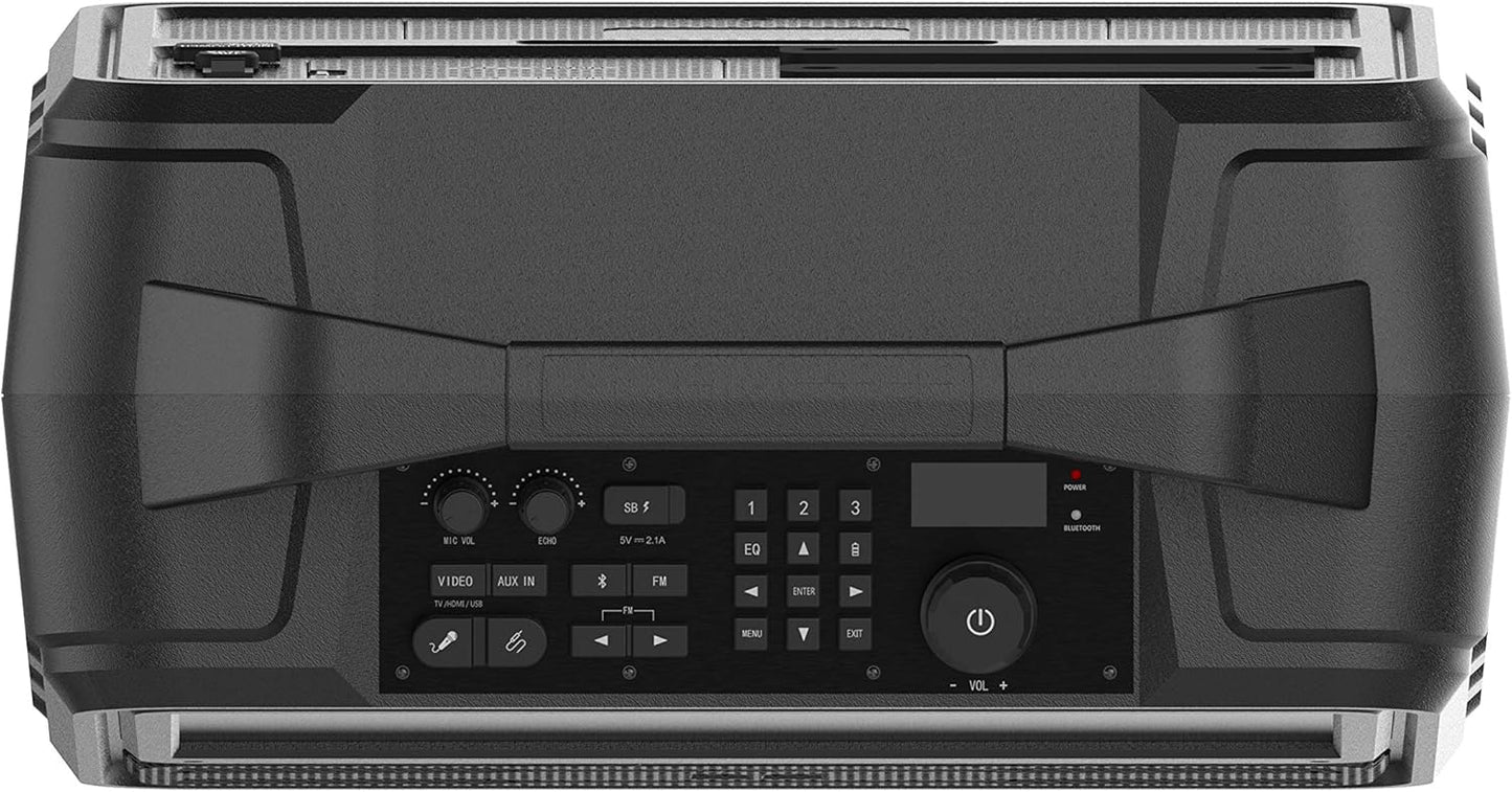 Portable TV