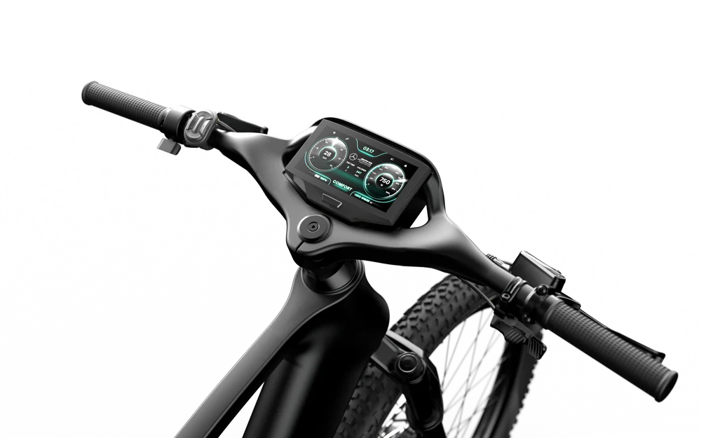 Team Rallye Electric Bike