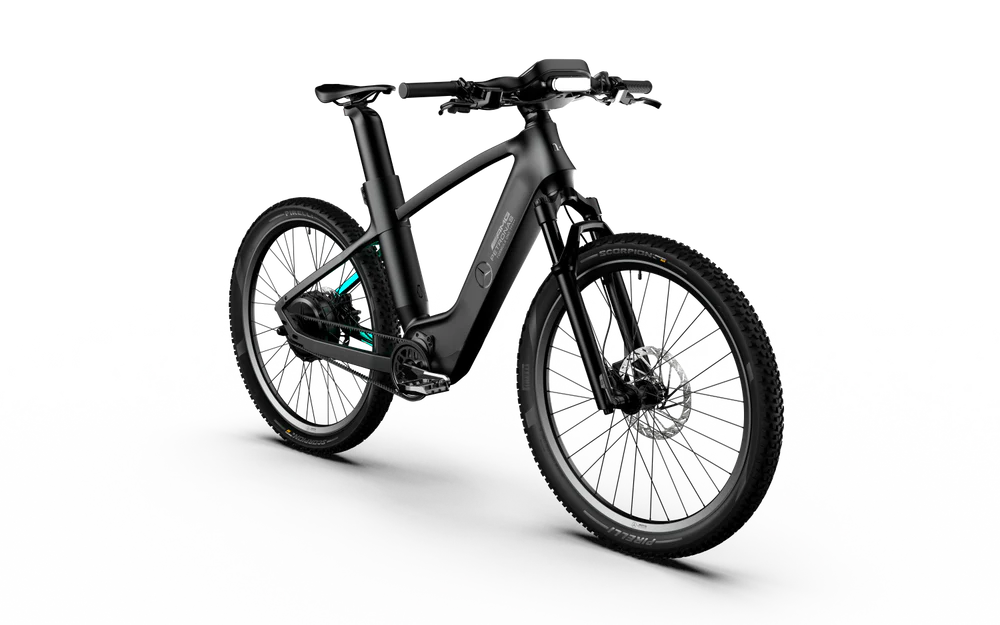 Team Rallye Electric Bike