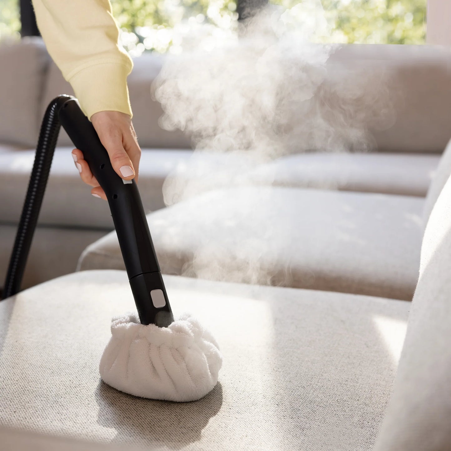 Steam Cleaner