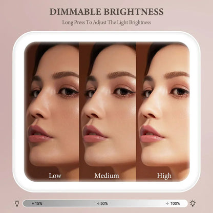 LED Make Up Beauty Bag