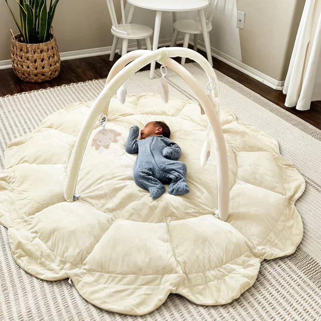 Convertible Baby Nest Bed
