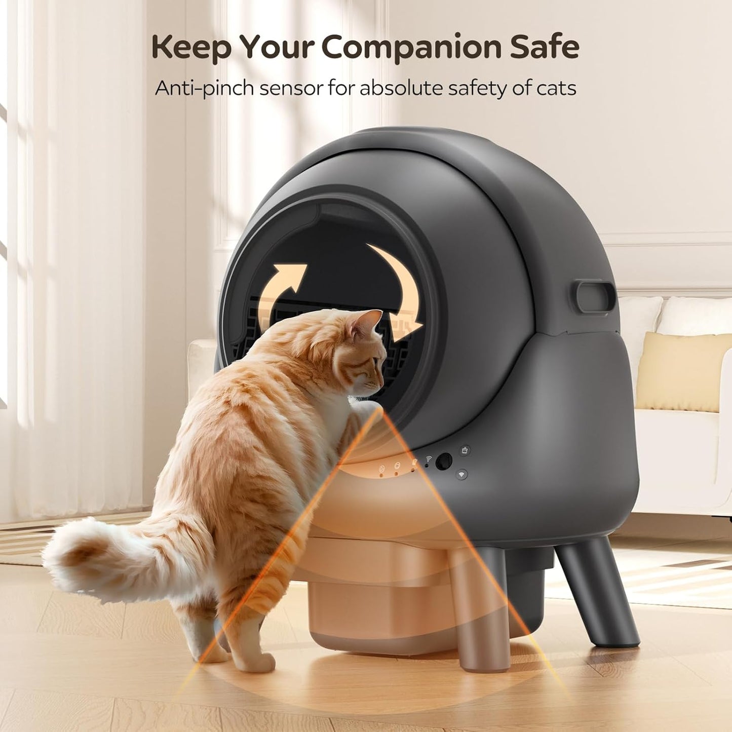 Self Cleaning Litter Box