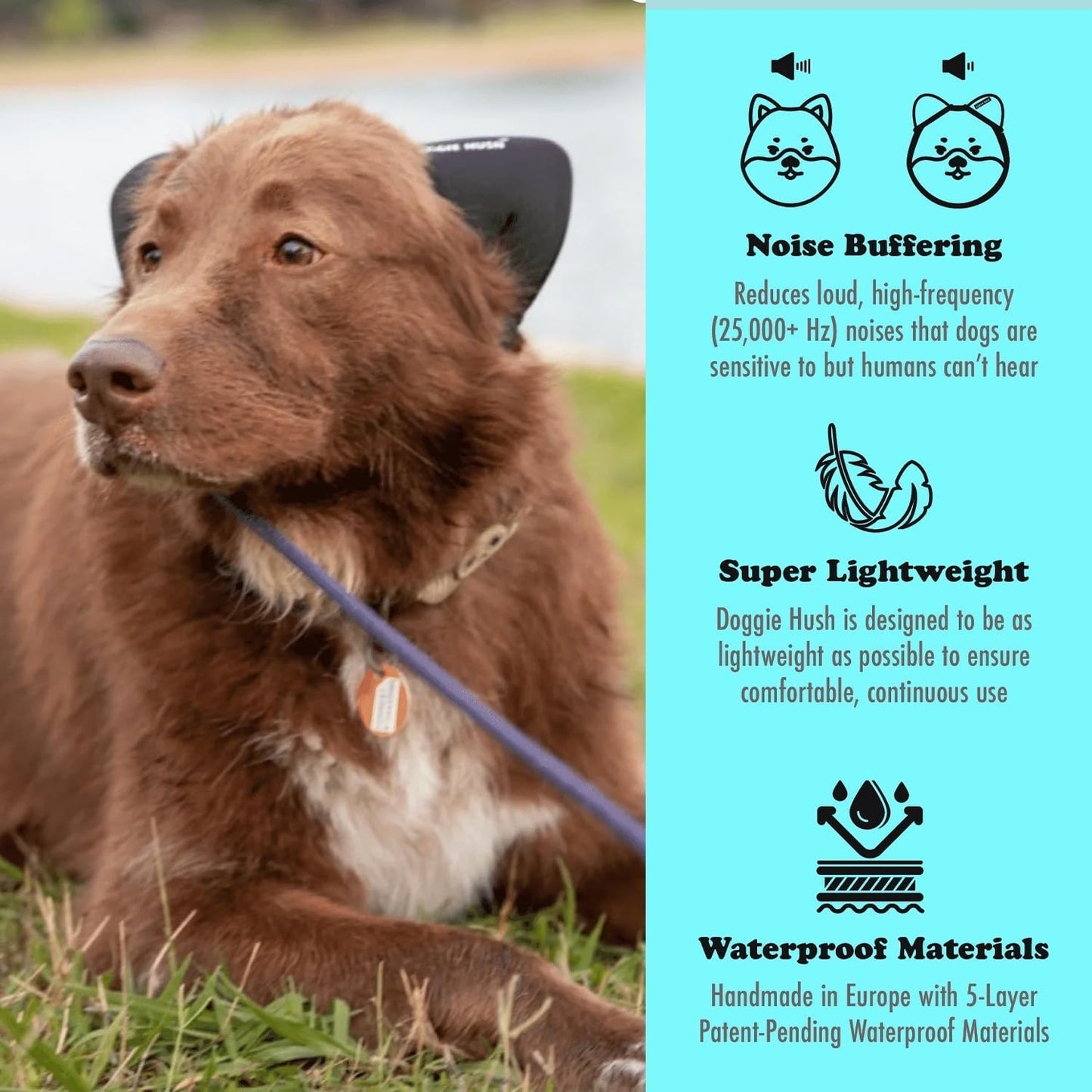 Dog Ear Muffs Noise Protection