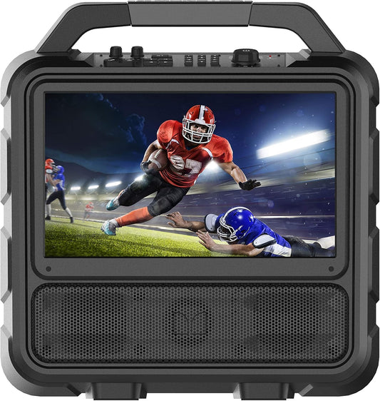 Portable TV