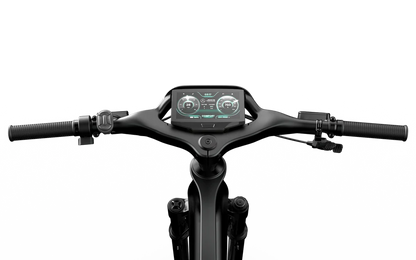 Team Rallye Electric Bike