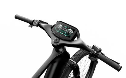Team Rallye Electric Bike