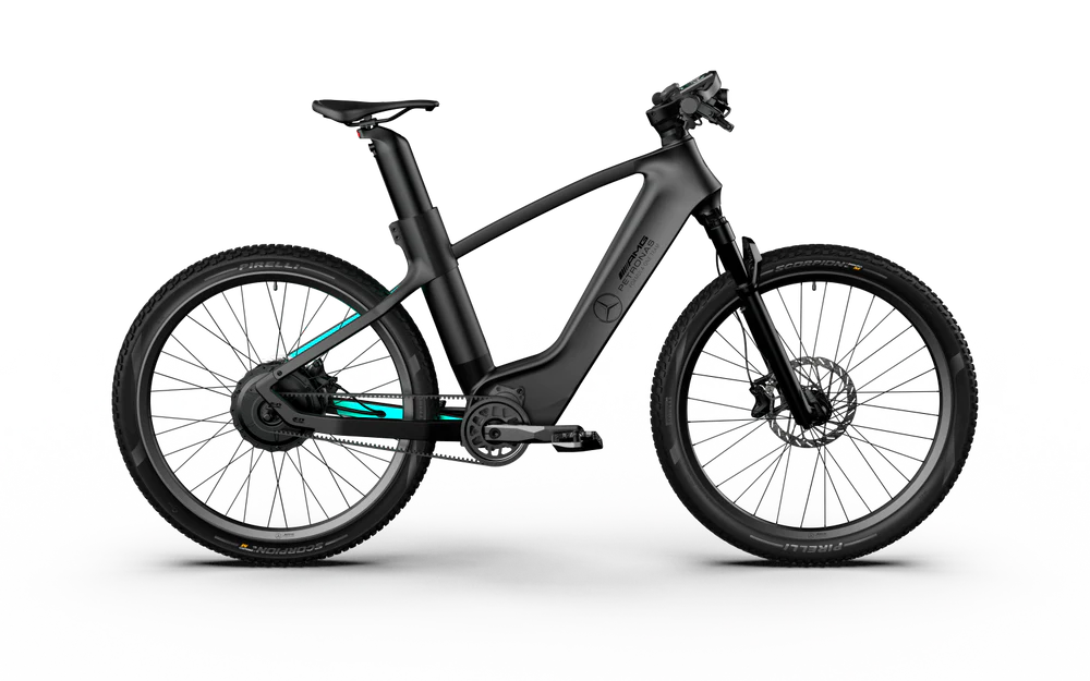 Team Rallye Electric Bike