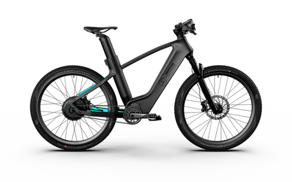 Team Rallye Electric Bike