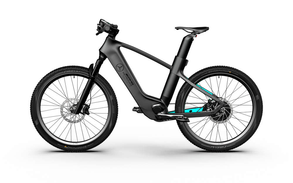 Team Rallye Electric Bike