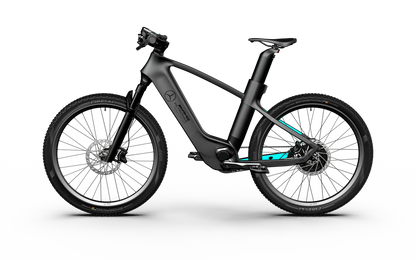 Team Rallye Electric Bike