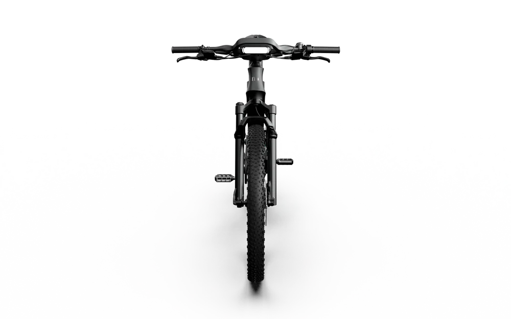 Team Rallye Electric Bike
