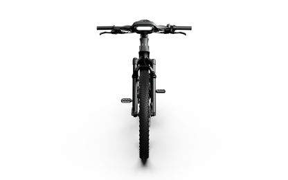 Team Rallye Electric Bike