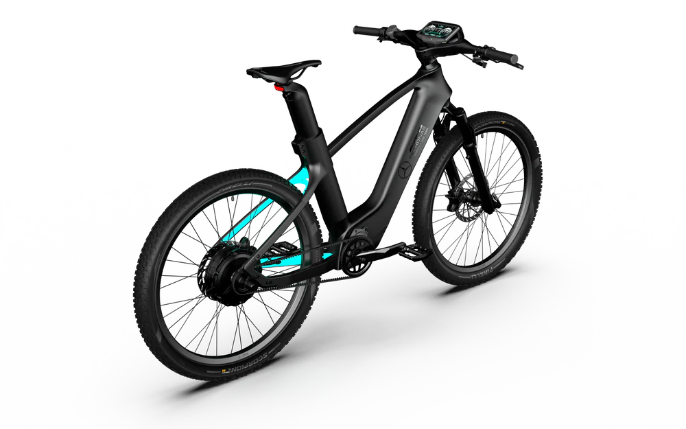 Team Rallye Electric Bike