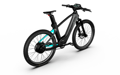 Team Rallye Electric Bike