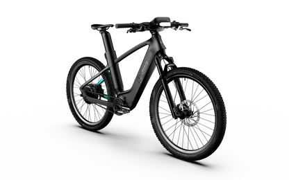 Team Rallye Electric Bike