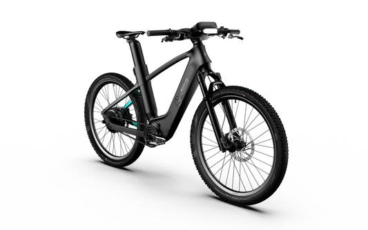 Team Rallye Electric Bike