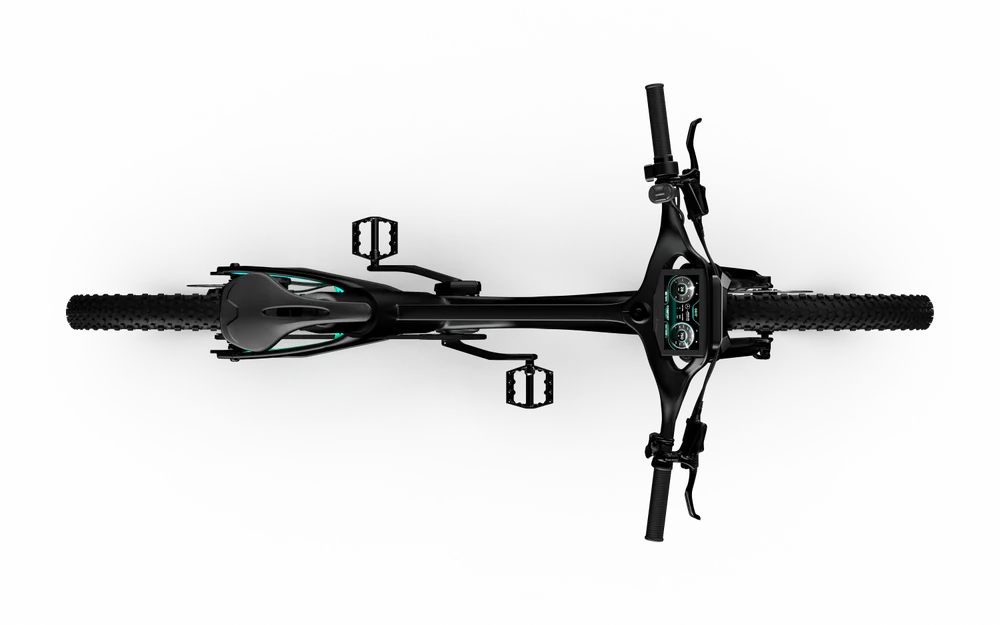 Team Rallye Electric Bike