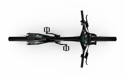 Team Rallye Electric Bike