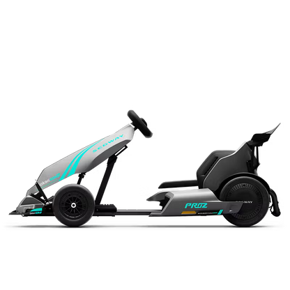 Segway GoKart Pro2